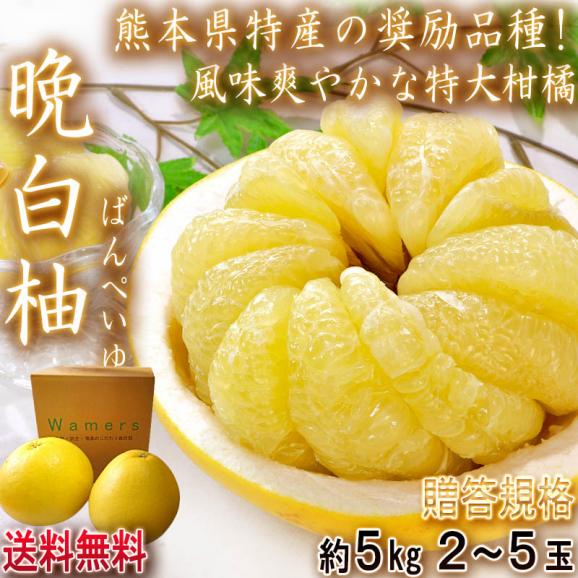 晩白柚 ばんぺいゆ 約5kg 2~5玉 熊本県産 秀品 ハウス栽培 柑橘最大級の大きさと上品な味わい!栽培適地の八代で育てた特産品02