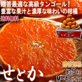 せとか 約5kg M～4Lサイズ 贈答規格 愛媛県産 甘みと果汁豊かな高級ミカン！ギフト最適な愛媛の新品種