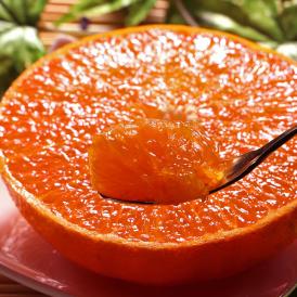 宇和せとか 約3kg L～4Lサイズ 愛媛県産 加温～露地栽培 贈答品 JAえひめ南 宇和島で育てた抜群の味！高品質なうわの赤箱みかん