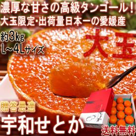 宇和せとか 約3kg L～4Lサイズ 愛媛県産 加温～露地栽培 贈答品 JAえひめ南 宇和島で育てた抜群の味！高品質なうわの赤箱みかん