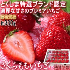 さくらももいちご 約900g 徳島県産 贈答規格 JA徳島市 とくしま特選ブランドの高級フルーツ！高い糖度と濃厚な味わいのプレミア苺
