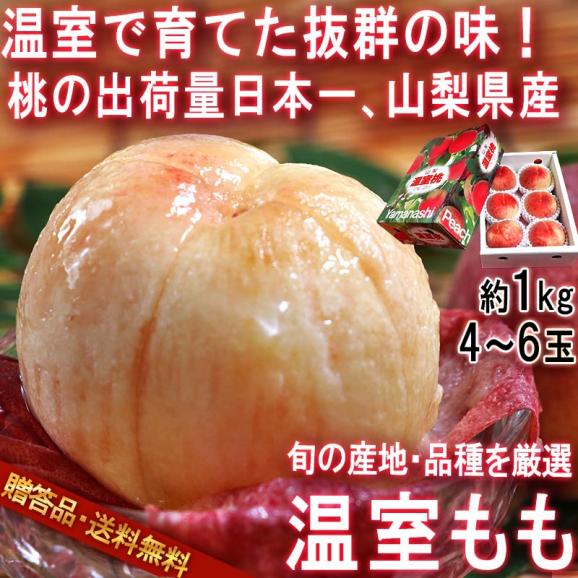 温室 桃 約1kg 4～6玉 山梨県産 贈答品 JA全農やまなし 化粧箱入り 味わい抜群のプレミアムギフト！美しい果実にジューシーな果肉と上品な風味02