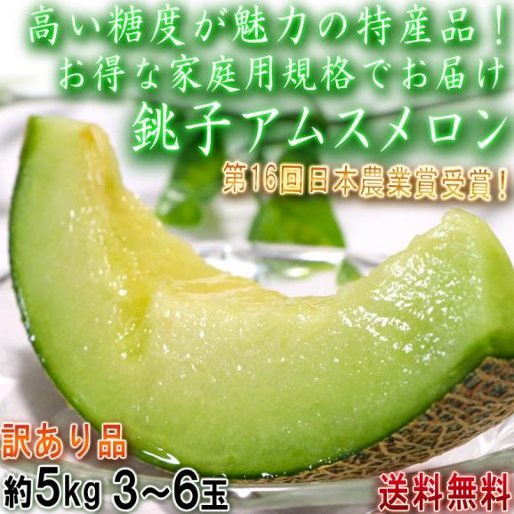 銚子アムスメロン 約5kg 3～6玉入り 千葉県産 訳あり品 JAちばみどり 糖度16度保証！日本農業賞受賞の高糖度ブランドフルーツ02