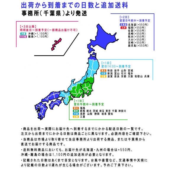 超大玉スイカ 約9～12kg 1玉入り 4～6L 千葉県産 訳あり品 空洞・棚落ち含む 富里・成田・船穂など国内屈指の産地厳選！04