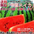 厳選大玉スイカ 約7～9kg 1玉入り 2～3Lサイズ 贈答規格 千葉県産 大玉サイズ 優品～秀品 富里・成田・船穂を始めとした国内屈指の産地が誇る旬の味！