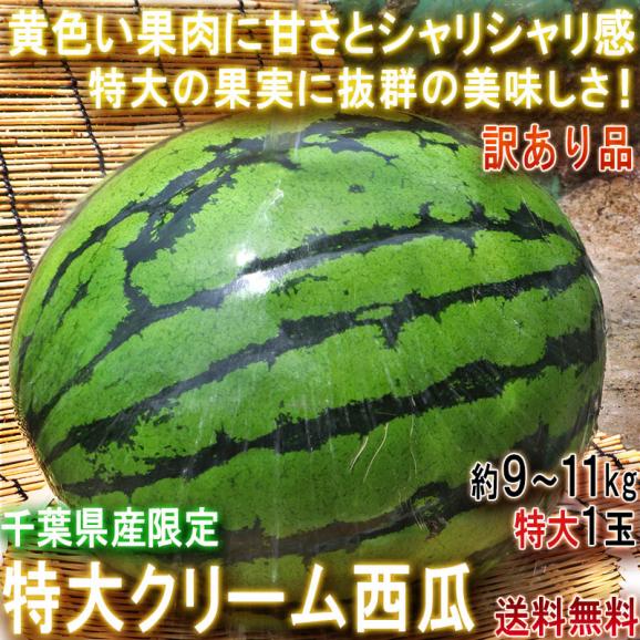 特大クリームスイカ 約9～11kg 特大1玉入り 千葉県産 訳あり品 希少品種 成田・富里を始めとした日本屈指の西瓜産地で育てた抜群の味とシャリシャリ感！02