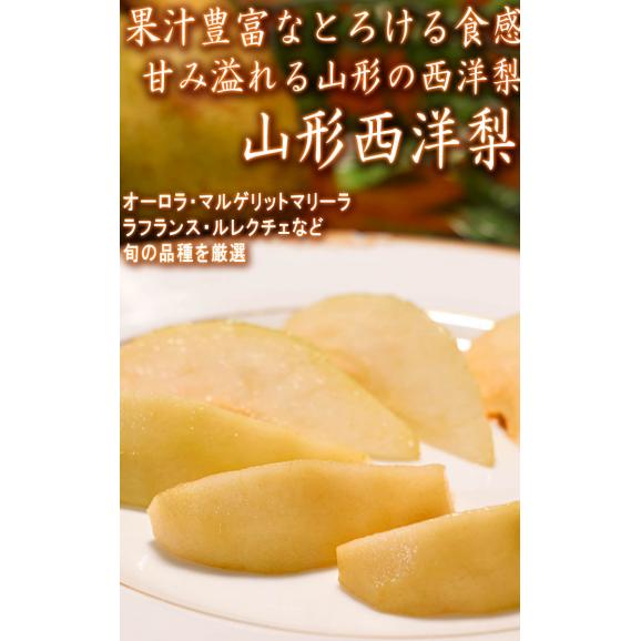 山形西洋梨 約5kg 10～20玉入り 贈答規格 山形県産 本場の産地で育てた抜群の味！旬の品種を厳選02