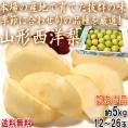山形西洋梨 約5kg 12~26玉入り 訳あり品 山形県産 本場の産地で育てた抜群の味!旬の品種を厳選
