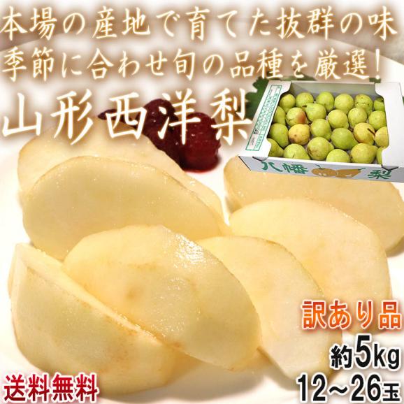 山形西洋梨 約5kg 12~26玉入り 訳あり品 山形県産 本場の産地で育てた抜群の味!旬の品種を厳選01