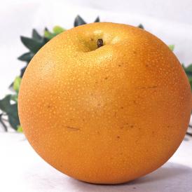 送料無料 にっこり梨の本場、栃木県が育成した美味しい果物！