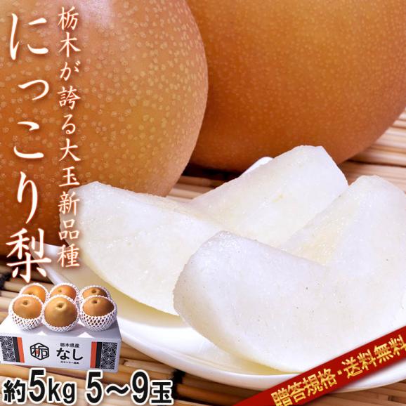 にっこり梨 約5kg 5～9玉 贈答規格 栃木県産 大玉限定 秀品～優品 JAうつのみや センサー選果で味わい抜群の贈答フルーツ！果汁豊富で高糖度の大玉梨02