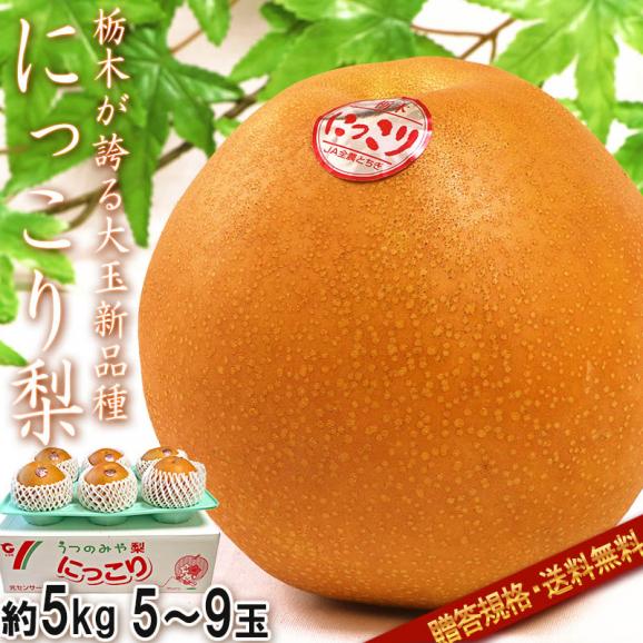 にっこり梨 約5kg 5～9玉 贈答規格 栃木県産 大玉限定 秀品～優品 JAうつのみや センサー選果で味わい抜群の贈答フルーツ！果汁豊富で高糖度の大玉梨02