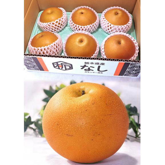 にっこり梨 約5kg 5～9玉 贈答規格 栃木県産 大玉限定 秀品～優品 JAうつのみや センサー選果で味わい抜群の贈答フルーツ！果汁豊富で高糖度の大玉梨03