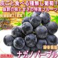 ナガノパープル 種無し葡萄 約1kg 2房 長野県産中心 贈答規格 JA共撰品 特産品の高級フルーツ！皮ごと食べる大粒の黒ぶどう