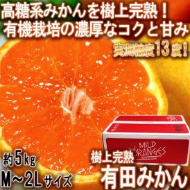 樹熟有田みかん 約5kg M～2Lサイズ 和歌山県産 個人農家産・葵クラブ生産 新品種の高糖系みかんを選抜！蜜柑大産地、有田が誇る自慢の味わいをお届け
