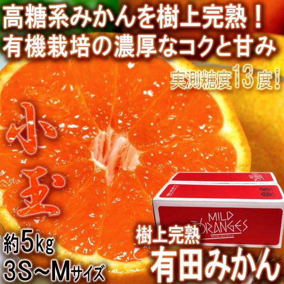 樹熟有田みかん 約5kg 3S～Mサイズ 小玉限定 和歌山県産 葵クラブ生産 新品種の高糖系みかんを選抜！蜜柑大産地、有田の味をお届け02