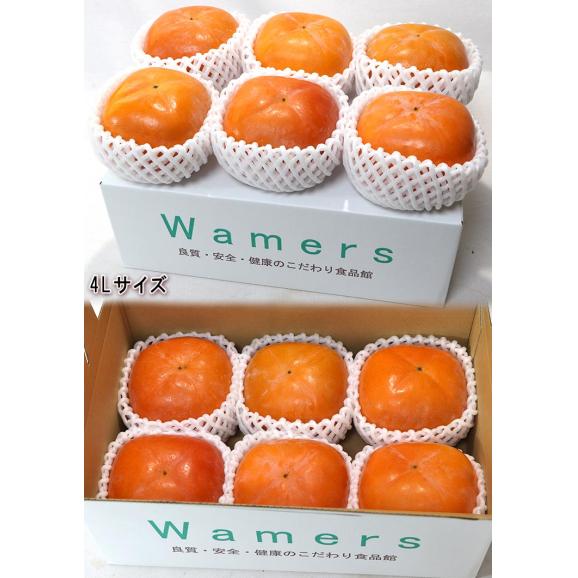 紀ノ川柿 たねなし柿 約1.5～2kg 5～8玉 和歌山県産 贈答規格 JA共撰品・センサー選果品 黒蜜を思わせる濃厚な甘さ！樹上で完熟した大玉フルーツ04