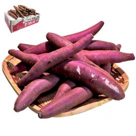 送料無料 紫芋の中でも糖度の高い新品種！