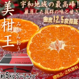 美柑王 みかんおう 高糖度ミカン 約5kg S～Lサイズ 贈答規格 愛あるブランド認定 糖度12.5度保証の高級フルーツ！お歳暮やギフト最適な抜群の味と甘さ