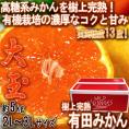 【大玉限定】樹熟有田みかん 約5kg 2L~3Lサイズ 和歌山県産 葵クラブ生産 新品種の高糖系みかんを選抜!蜜柑大産地、有田の味をお届け