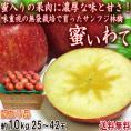 蜜いわて サンフジ林檎 約10kg 25～42玉 岩手県産 訳あり品 家庭用 濃厚な味と蜜入りの果肉！美味しさ重視の岩手りんご