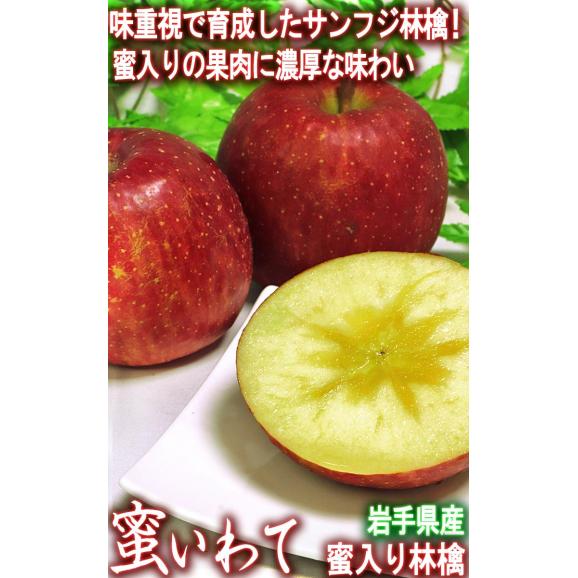 蜜いわて サンフジ林檎 約10kg 25～42玉 岩手県産 訳あり品 家庭用 濃厚な味と蜜入りの果肉！美味しさ重視の岩手りんご02