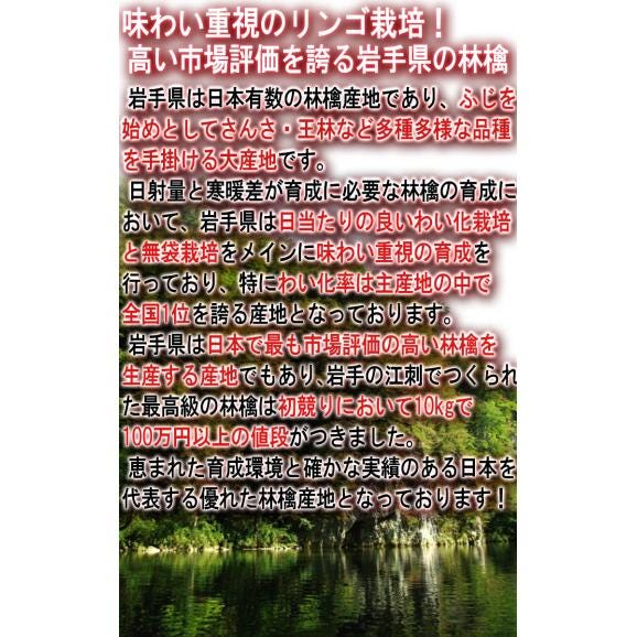 蜜いわて サンフジ林檎 約10kg 25～42玉 岩手県産 訳あり品 家庭用 濃厚な味と蜜入りの果肉！美味しさ重視の岩手りんご03