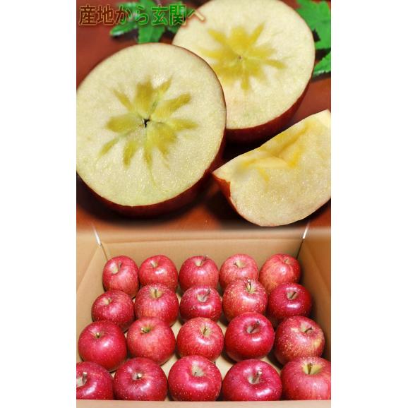 蜜いわて サンフジ林檎 約10kg 25～42玉 岩手県産 訳あり品 家庭用 濃厚な味と蜜入りの果肉！美味しさ重視の岩手りんご05