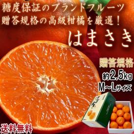 はまさき 麗紅 約2.5kg M～Lサイズ 佐賀県産 贈答規格 JAからつ 化粧箱入り 味 わい抜群の高級柑橘！糖度12.5度保証のブランドフルーツ