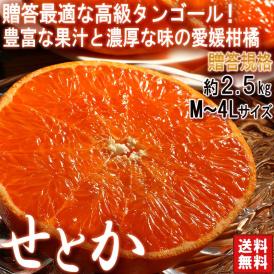 せとか 約2.5kg M～4Lサイズ 贈答規格 愛媛県産 甘みと果汁豊かな高級ミカン！ギフト最適な愛媛の新品種