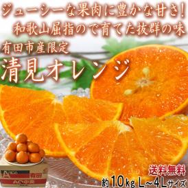清見オレンジ 有田きよみ 和歌山県産 約10kg M〜4Lサイズ 田村みかんの産地、湯浅町田村地区で育てた抜群の味！