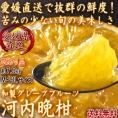 産地直送 河内晩柑 約7.5kg M～3Lサイズ 愛媛県産 訳あり品 苦みの少ない和製グレープフルーツ！お得な価格で本場の味をお届け