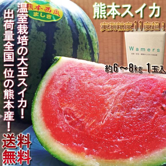 熊本スイカ 大玉 熊本県産 紅肉 約6～8kg 1玉入り 贈答規格 実測糖度11度超！ 温室栽培の大玉スイカ02