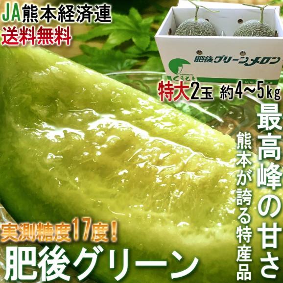 肥後グリーン 青肉メロン 2玉入り 約4～5kg 熊本県産 贈答規格 大玉限定 実測糖度17度超！最高峰の甘さを誇るブランドメロン02
