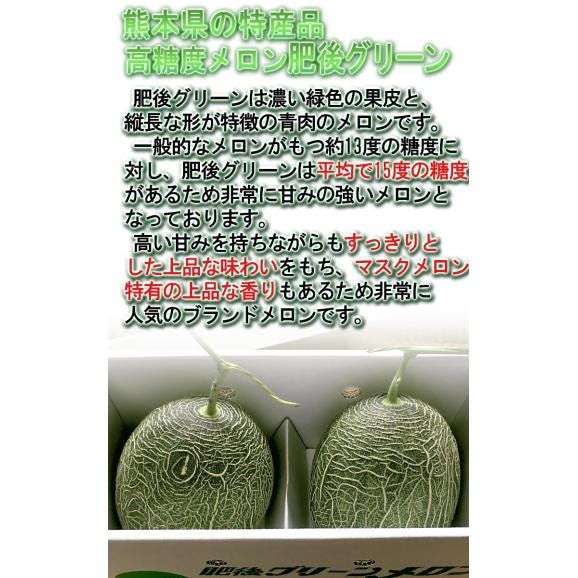 肥後グリーン 青肉メロン 2玉入り 約4～5kg 熊本県産 贈答規格 大玉限定 実測糖度17度超！最高峰の甘さを誇るブランドメロン03