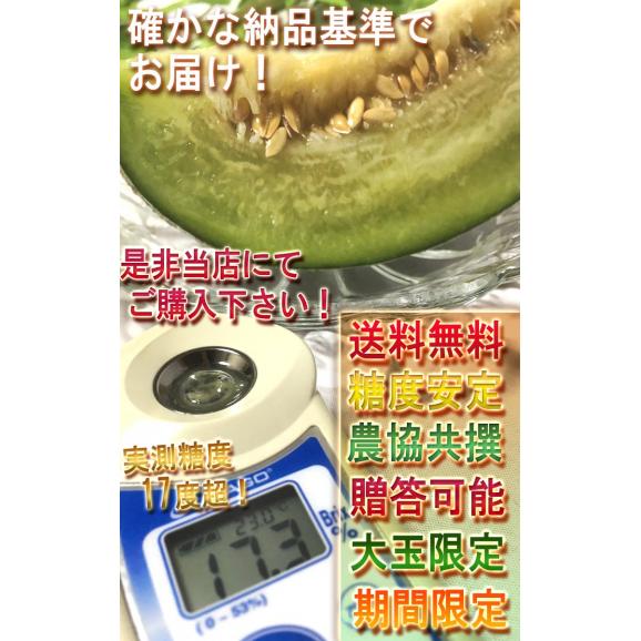 肥後グリーン 青肉メロン 2玉入り 約4～5kg 熊本県産 贈答規格 大玉限定 実測糖度17度超！最高峰の甘さを誇るブランドメロン05