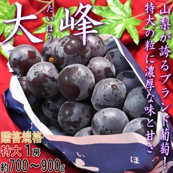 大峰 たいほう 山梨ブランド葡萄 約700g～900g 特大1房 山梨県産 贈答規格 高品質な藤稔ぶどうを厳選！大きな粒と抜群の味02