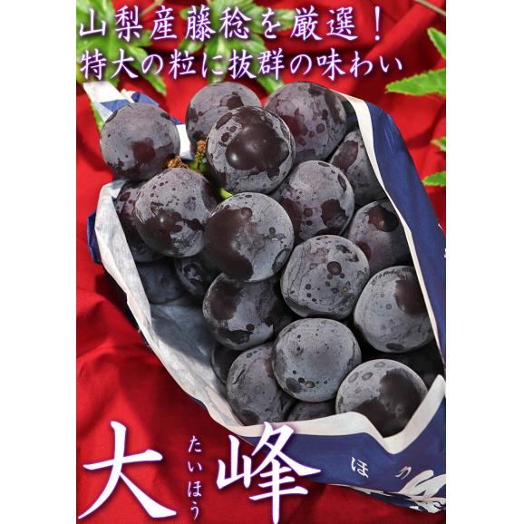 大峰 たいほう 山梨ブランド葡萄 約700g～900g 特大1房 山梨県産 贈答規格 高品質な藤稔ぶどうを厳選！大きな粒と抜群の味03