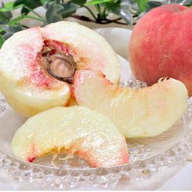 山形もも 約3kg 6～10玉 山形県産 贈答規格 桃の北限で育てた抜群の味！ギフト最適な豊かな甘さ