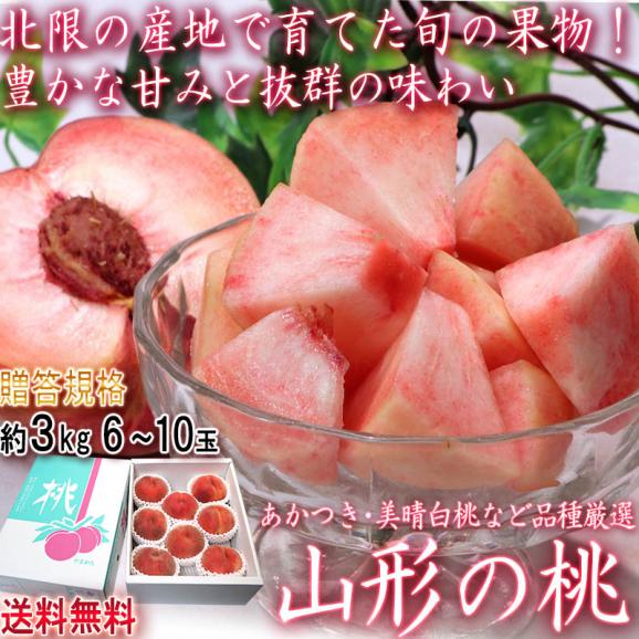 山形もも 約3kg 6～10玉 山形県産 贈答規格 桃の北限で育てた抜群の味！ギフト最適な豊かな甘さ02