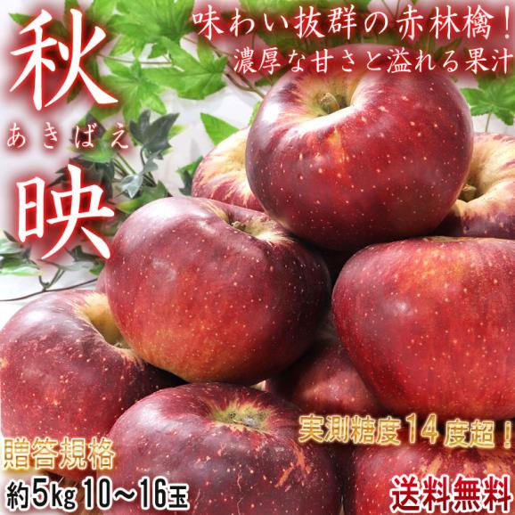 秋映 あきばえ 赤りんご 約5kg 10～16玉 長野・青森県産 贈答規格 濃厚な甘さと程よい酸味！果汁豊富な美味しい赤林檎02