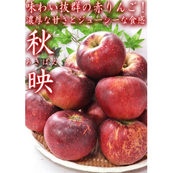 秋映 あきばえ 赤りんご 約5kg 10～16玉 長野・青森県産 贈答規格 濃厚な甘さと程よい酸味！果汁豊富な美味しい赤林檎03