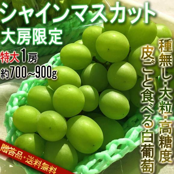 大房シャインマスカット 種無し葡萄 特大1房 約700〜900g 山梨県産中心 贈答規格 JA共撰品 化粧箱入り 皮ごと食べる高級ぶどう！濃厚な甘さのギフトフルーツ02