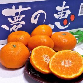 夢の恵 温州みかん 約4kg S～Lサイズ 熊本県産 贈答規格 光センサー選別ミカン！糖度12度保証