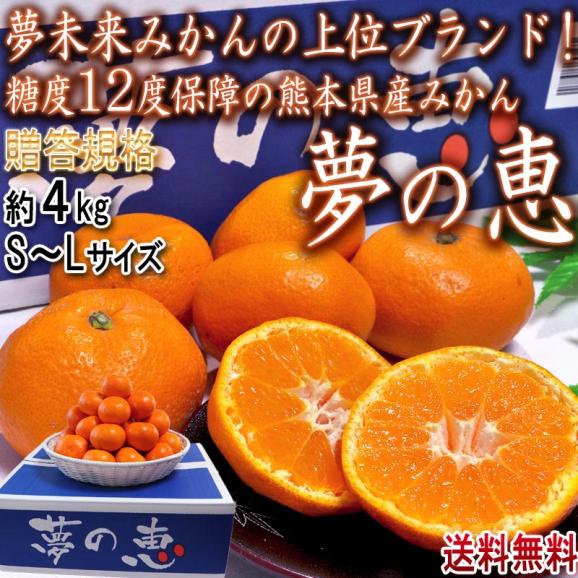 夢の恵 温州みかん 約4kg S～Lサイズ 熊本県産 贈答規格 光センサー選別ミカン！糖度12度保証02