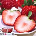 とちあいか いちご 約280g×2パック 栃木県産 贈答規格 JA共撰品 苺の生産量日本一の栃木県産!本場で育てた豊かな甘みと鮮やかな赤色のギフトフルーツ