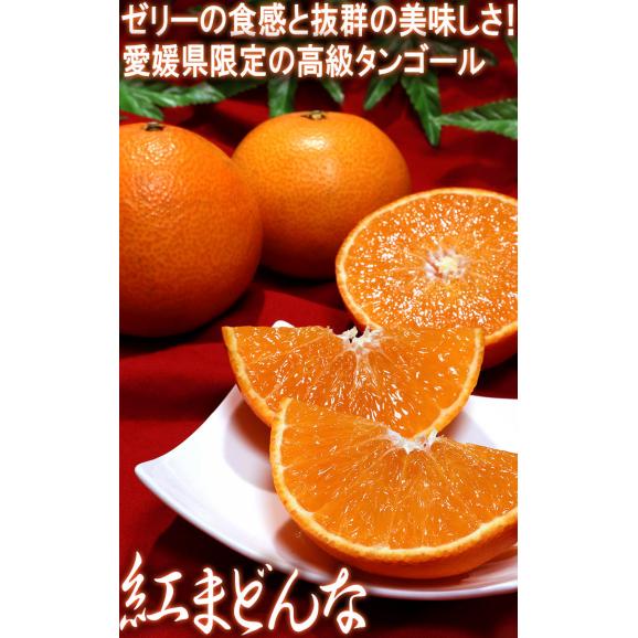 紅まどんな 約2kg 6~10玉入り 愛媛県産 訳あり品 JA全農えひめ 愛媛オリジナルの高級フルーツ!プルプルの果肉に豊かな甘み03