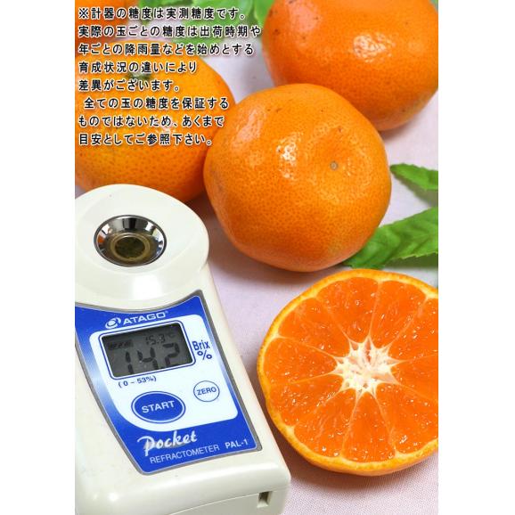 夢の恵 温州みかん 約3~4kg S~2Lサイズ 熊本県産 贈答規格 光センサー選別ミカン!糖度12度保証03