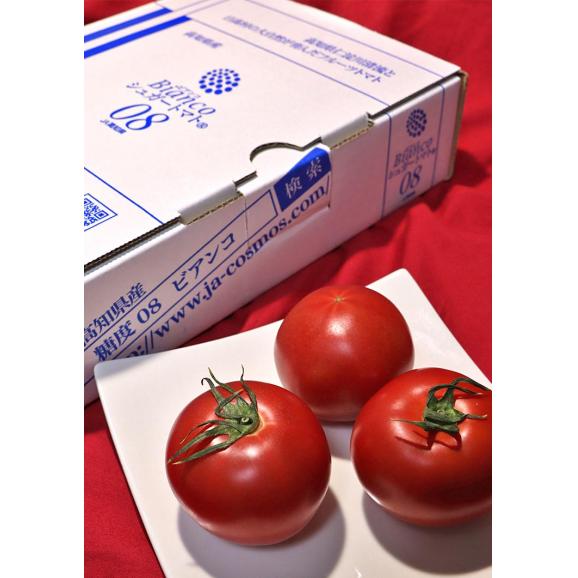 シュガートマト Bianco 高糖度フルーツトマト 約800g 2S～Lサイズ 高知県産 贈答規格 糖度8度保証のブランド野菜！02