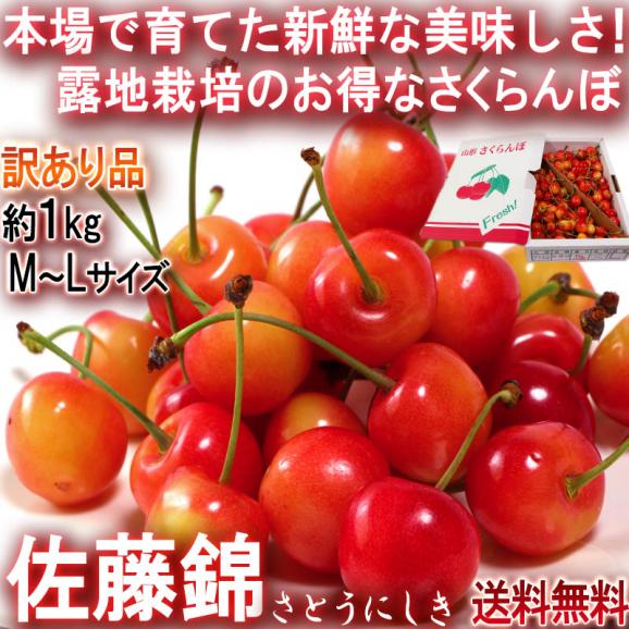 佐藤錦 さくらんぼ 約1kg M～Lサイズ 訳あり品 山形県産 バラ詰め 甘み豊かでお得なサクランボ！02